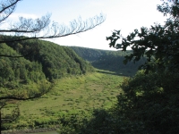 The Genessee Valley at Letchworth